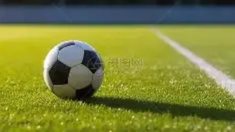 利物浦计划与齐米卡斯续约至2027年